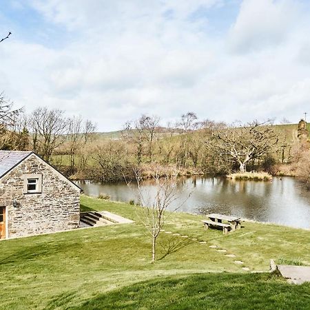 Penuwch Boathouse- Lakeside Rural Cottage Ideal For Families With Indoor Heated Pool Carmarthen Ngoại thất bức ảnh